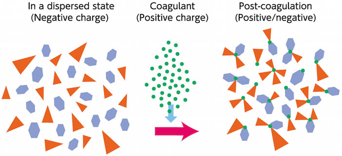 In a dispersed state (Negative charge) / Coagulant (Positive charge) / Post-coagulation (Positive/negative)