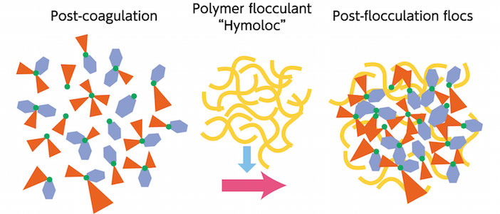 Post-coagulation / Polymer flocculant "Himoloc" / Post-flocculation flocs